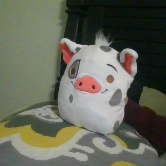 Other - Pua Squishmallow Tags Included
